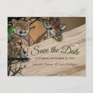Safari Outdoor Save the Date Announcement Postcard