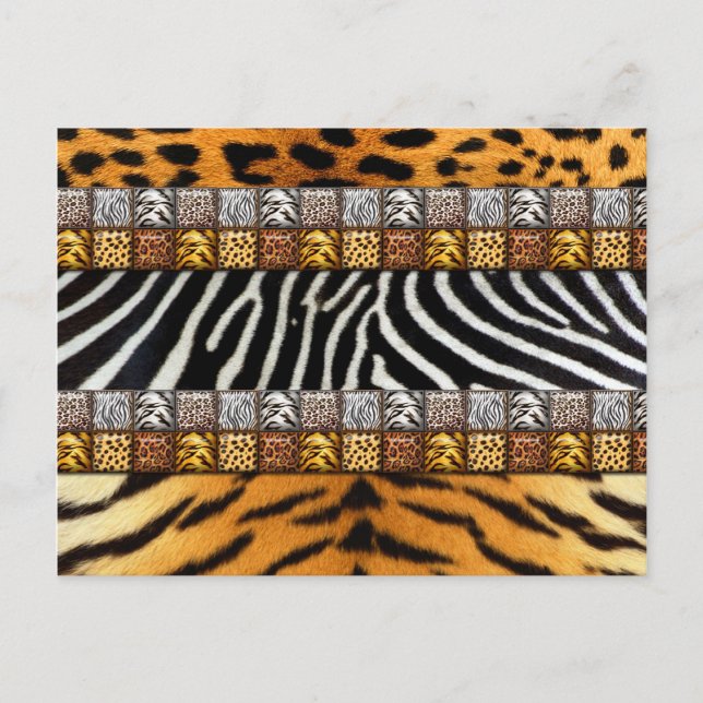 Safari Prints Postcard (Front)