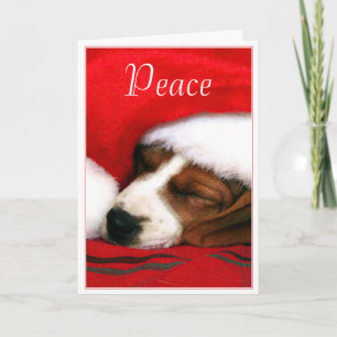 Safe And Peaceful Santa Puppy  Greeting Card -