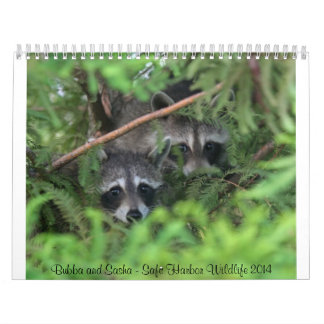 Safe Harbour Wildlife Calendar