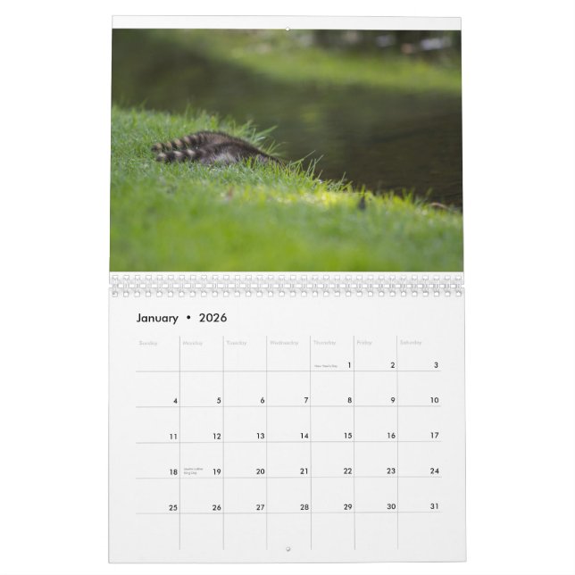 Safe Harbour Wildlife Calendar (Jan 2026)
