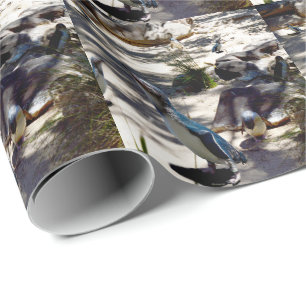Safe Haven: Fairy Penguin Paradise, Wrapping Paper