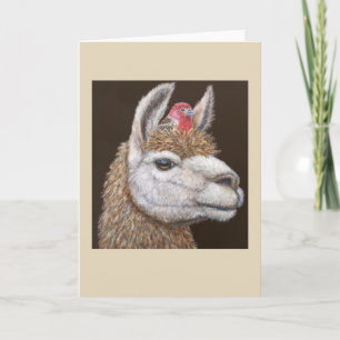 Safe Haven llama and finch card