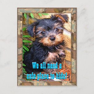 Safe Place Postcard