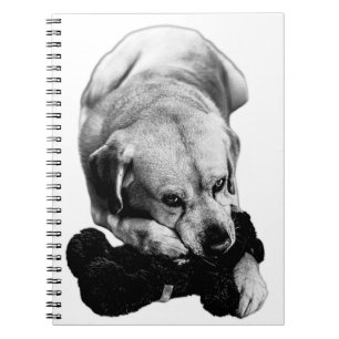 Safe & Sound Notebook