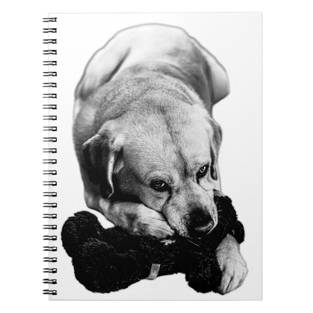 Safe & Sound Notebook (Front)