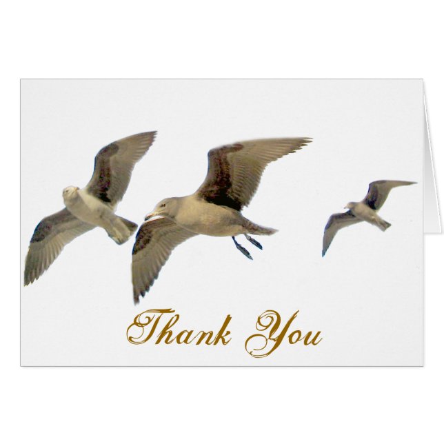 Safe Traveling_ (Front Horizontal)