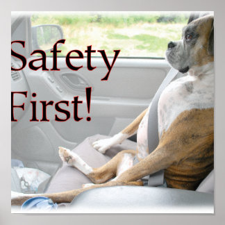 Safety First! Poster