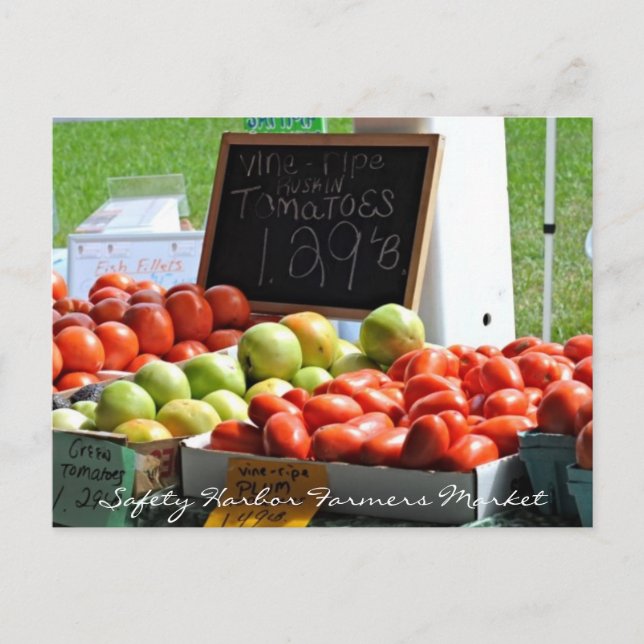 Safety Harbor Farmers Market Postcard (Front)