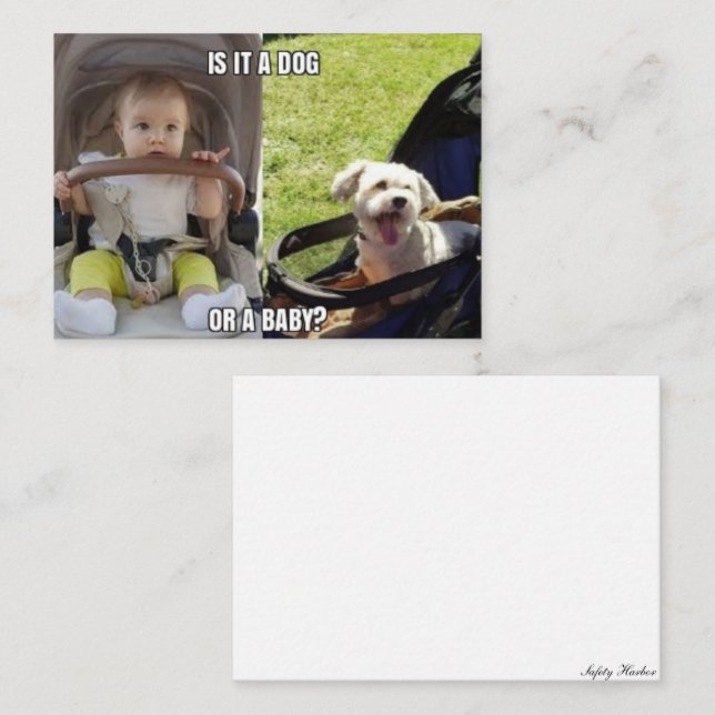 Safety Harbour Dog Baby Meme Joke Flat Note Card (Front/Back)