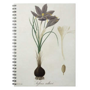 Saffron Crocus from 'Phytographie Medicale' by Jos Notebook
