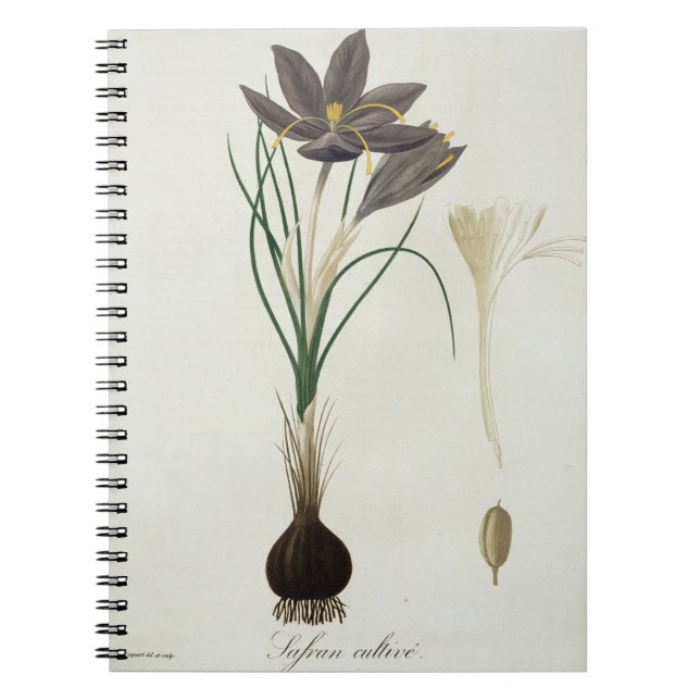 Saffron Crocus from 'Phytographie Medicale' by Jos Notebook (Front)
