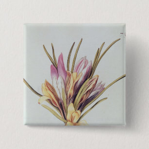 Saffron or Crocus, from 'La Guirlande de Julie' 15 Cm Square Badge