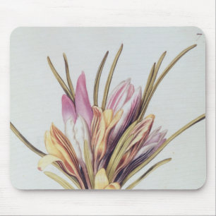 Saffron or Crocus, from 'La Guirlande de Julie' Mouse Pad