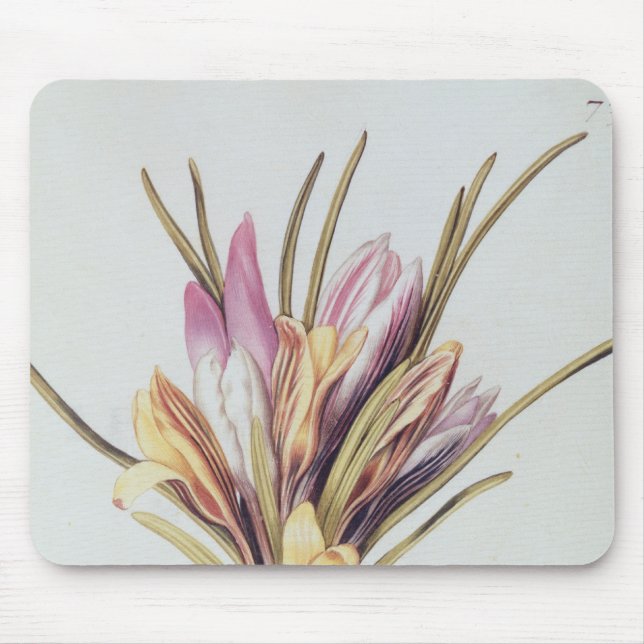 Saffron or Crocus, from 'La Guirlande de Julie' Mouse Pad (Front)