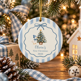 Sage Blue Silly Goose Baby First Christmas Ceramic Ornament