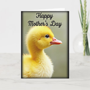 Sage Fledgling Friend Card