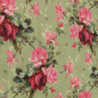 Sage Green Antique Vintage Roses & Florals