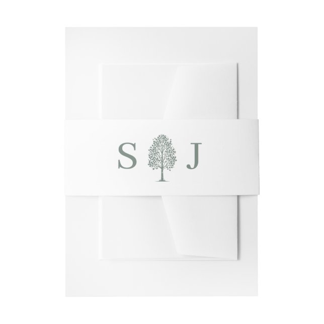Sage Green Aspen Tree Wedding Invitation Belly Band (Front Example)