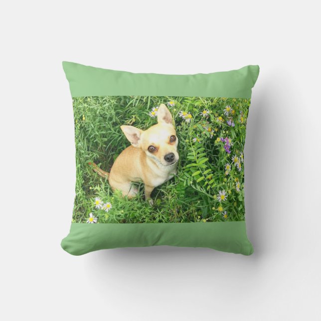 Sage green chihuahua throw pillow. cushion (Front)