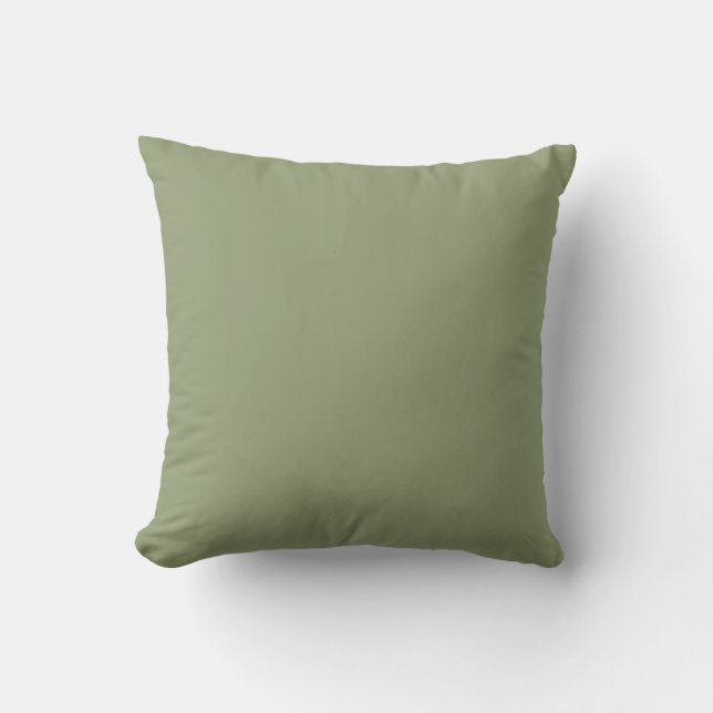 Sage Green Grey-Green Elegant Neutral Solid Colour Cushion (Front)