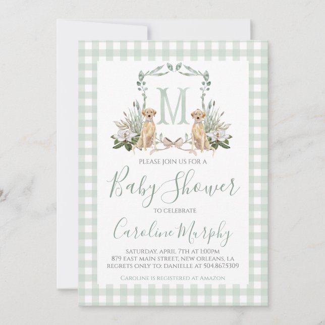 Sage Green Lab Baby Shower Preppy Gingham Invitation (Front)