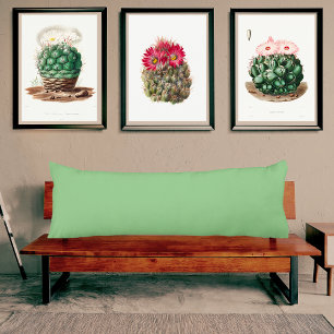 Sage Green light muted solid colour pillow