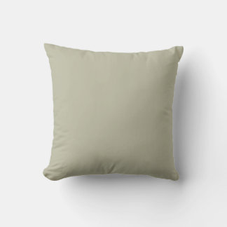 Sage Green Solid Colour Cushion