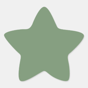Sage Green Star Sticker