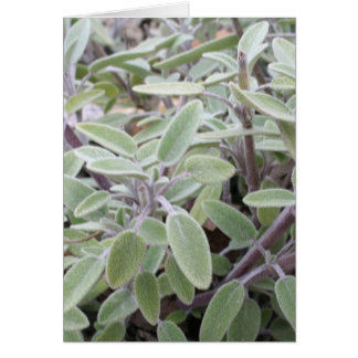 Sage greeting card