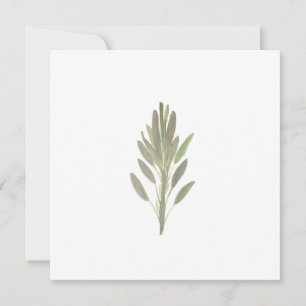 Sage herb botanical plant greenery card