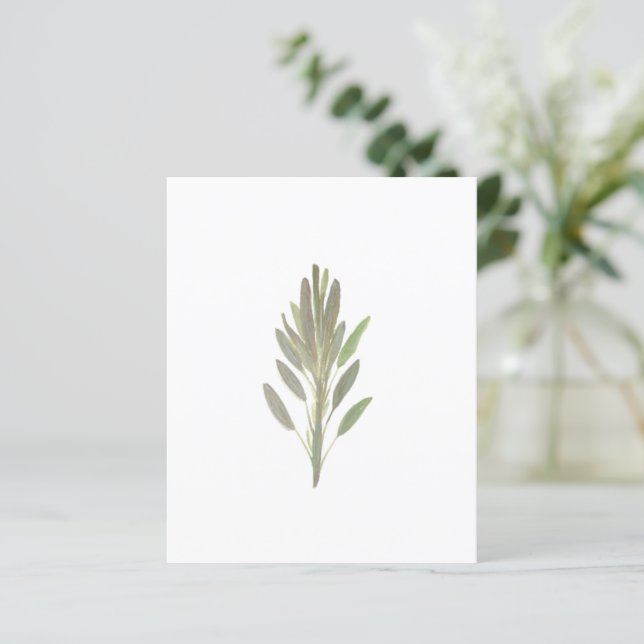 Sage herb botanical plant greenery paper sheet (Standing Front)