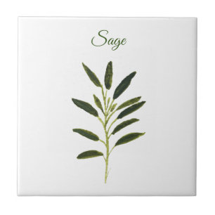 Sage Herb Greenery Kitchen Culinary Green Rustic C Ceramic Tile