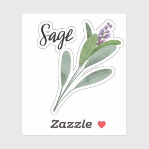 Sage Herb Jar Sticker