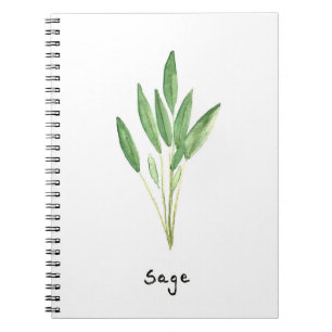 Sage herbs garden rosemary thyme watercolor notebook
