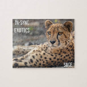 Sage - jigsaw puzzle