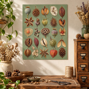 Sage Seed Library Art Print