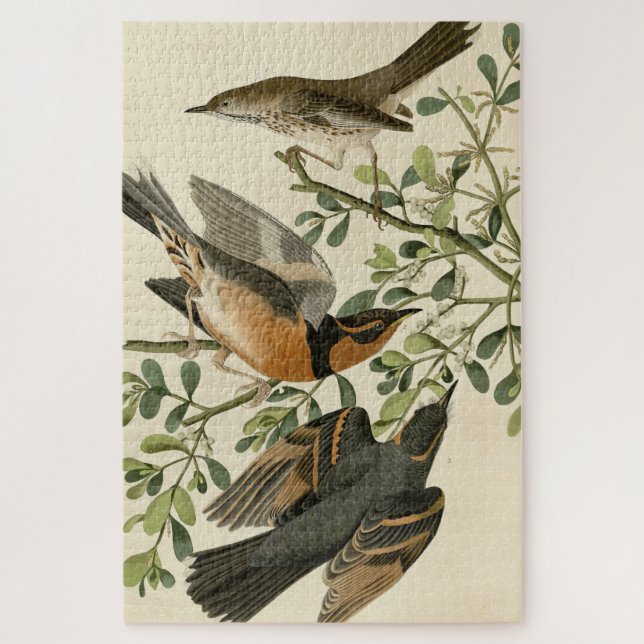Sage Thrasher and Varied Thrush, Audubon's Birds Jigsaw Puzzle (Vertical)