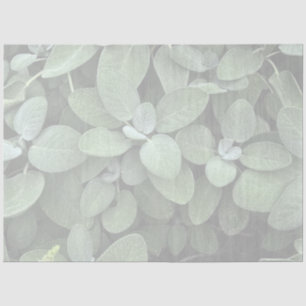 Sage Tissue Paper, Decoupage, Botanical Greenery Paper