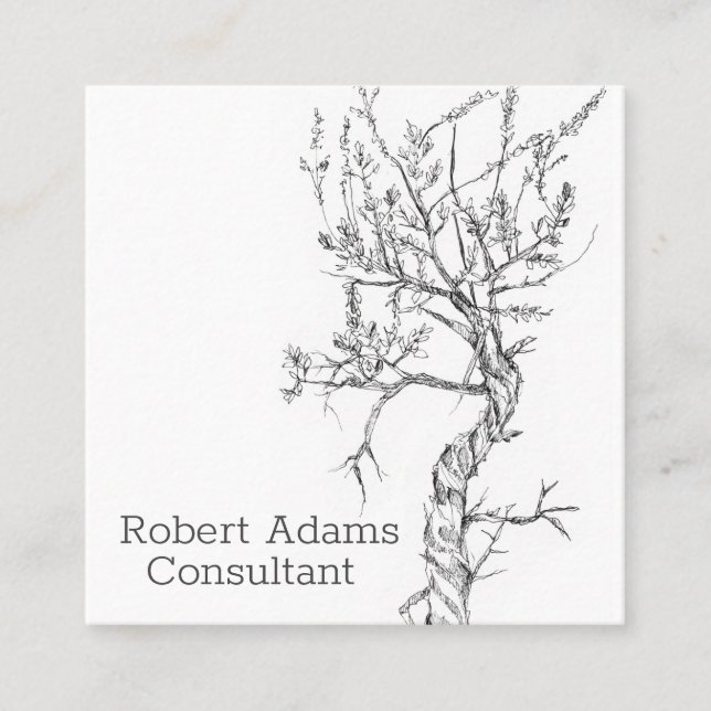 Sagebrush Plant Pen and Ink Black White Botanical Square Business Card (Front)