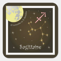 Sagittaire 23 novembre au 21 décembre sticker
