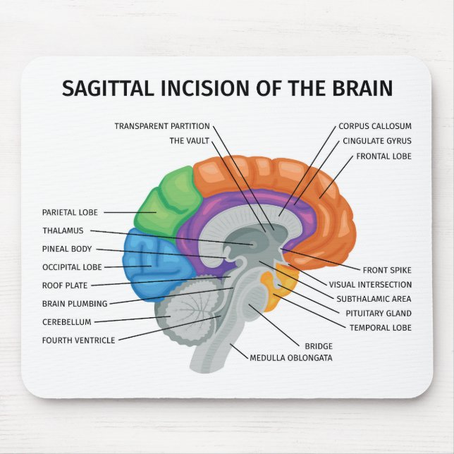  Sagittal Incision of the brain  Mouse Pad (Front)
