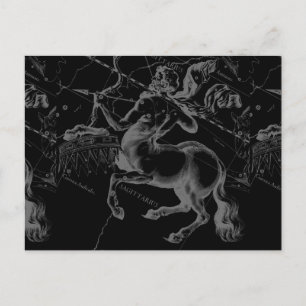 Sagittarius Constellation Classy Hevelius Engaving Postcard
