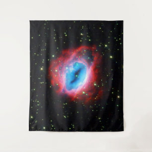 Sagittarius Nebula Tapestry