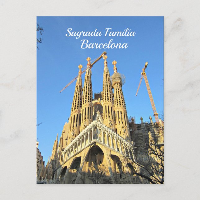 Sagrada Familia, Barcelona, Spain Postcard (Front)