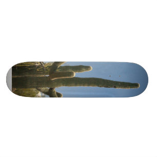 Saguara Cactus skate board