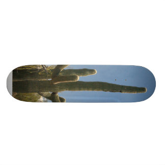 Saguara Cactus skate board