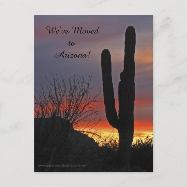 Saguaro at Sunset, New Address Announcement Postcard (Front)