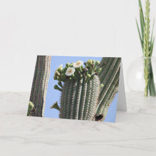 Saguaro Blooms Greeting Card
