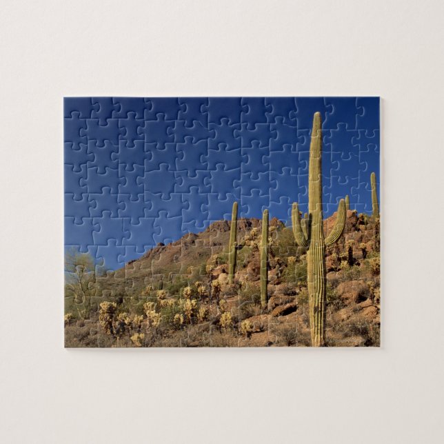Saguaro cacti and Tucson Mountains, Tucson Jigsaw Puzzle (Horizontal)